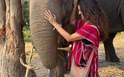 CLAVE 17: Agradece cada experiencia vivida y por vivir